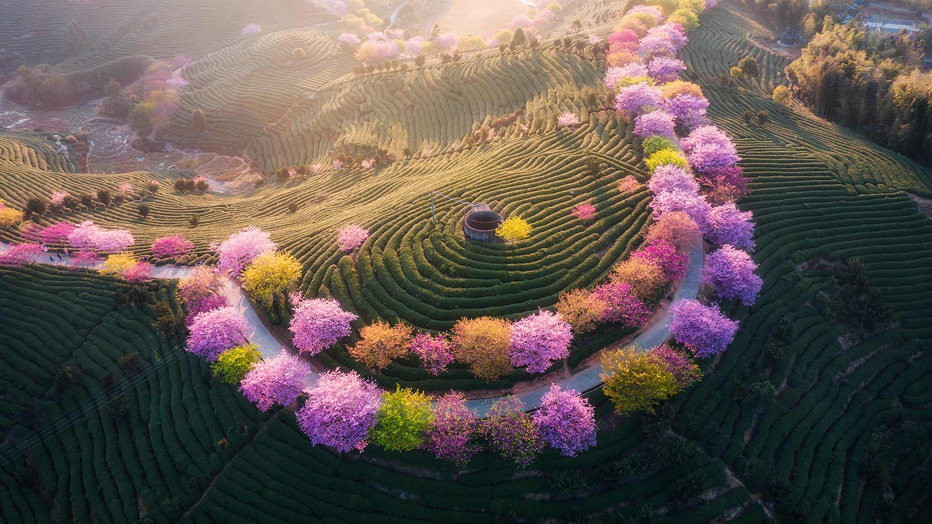 Electron使用pdf-to-printer在部分win7电脑上获取打印机失败